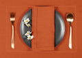 Chef Supply Co Cotton Napkins Rust Cloth Dinner Napkins Set of 4 20 X 20 In
