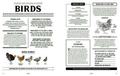 CHEF SUPPLY CO Meat: The ultimate companion Hardcover Book