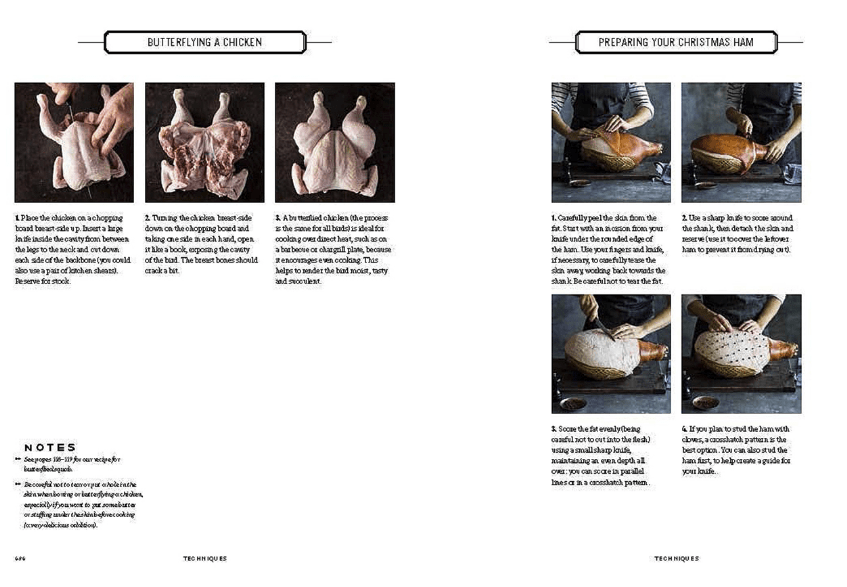 CHEF SUPPLY CO Meat: The ultimate companion Hardcover Book