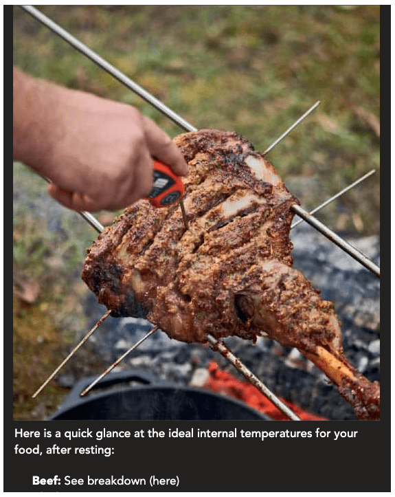 CHEF SUPPLY CO Print Books Food x Fire BBQ Book - Grilling & BBQ with Derek Wolf of Over the Fire Cooking